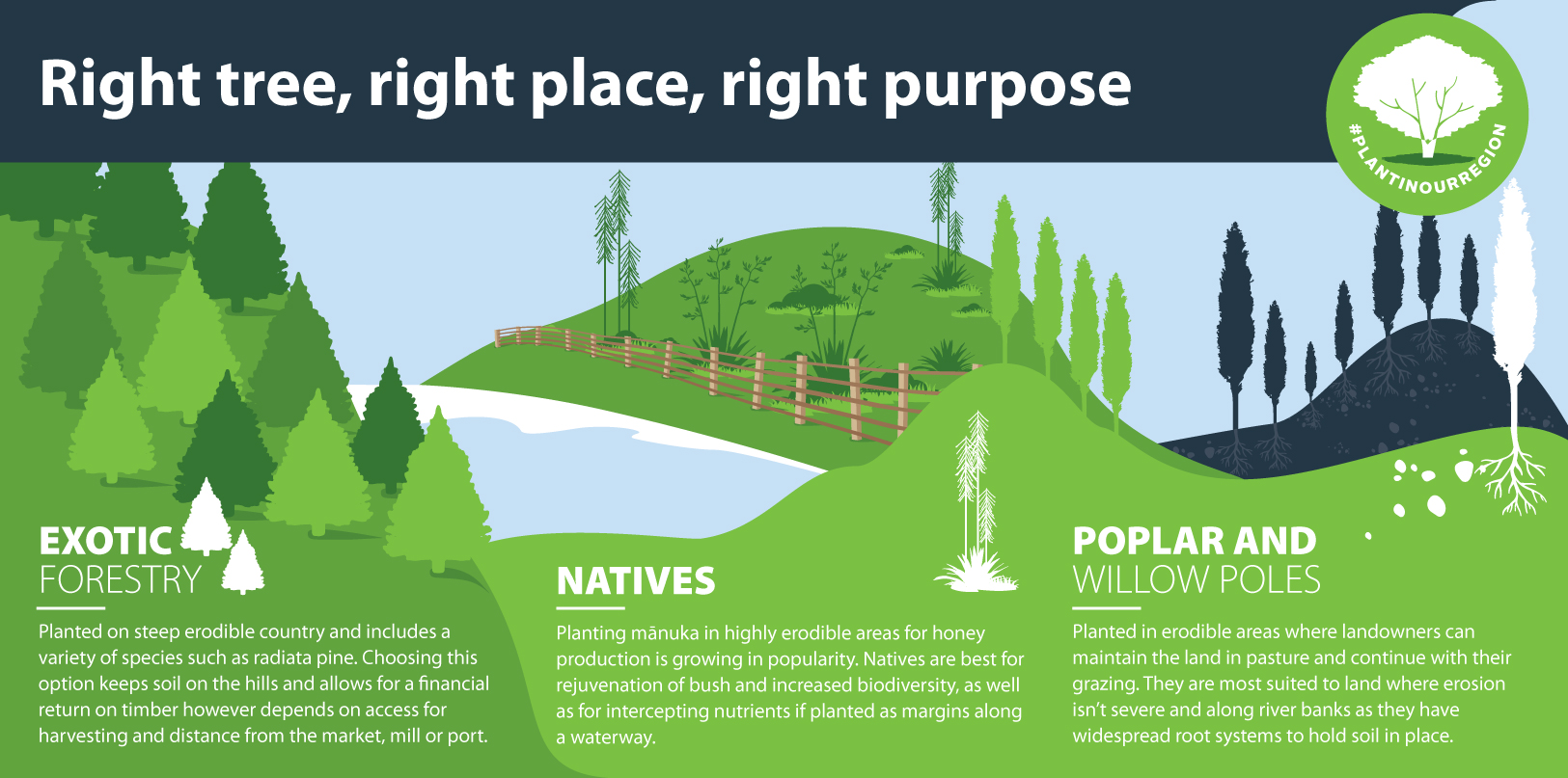 #PlantInOurRegion - Right tree, right place, right purpose