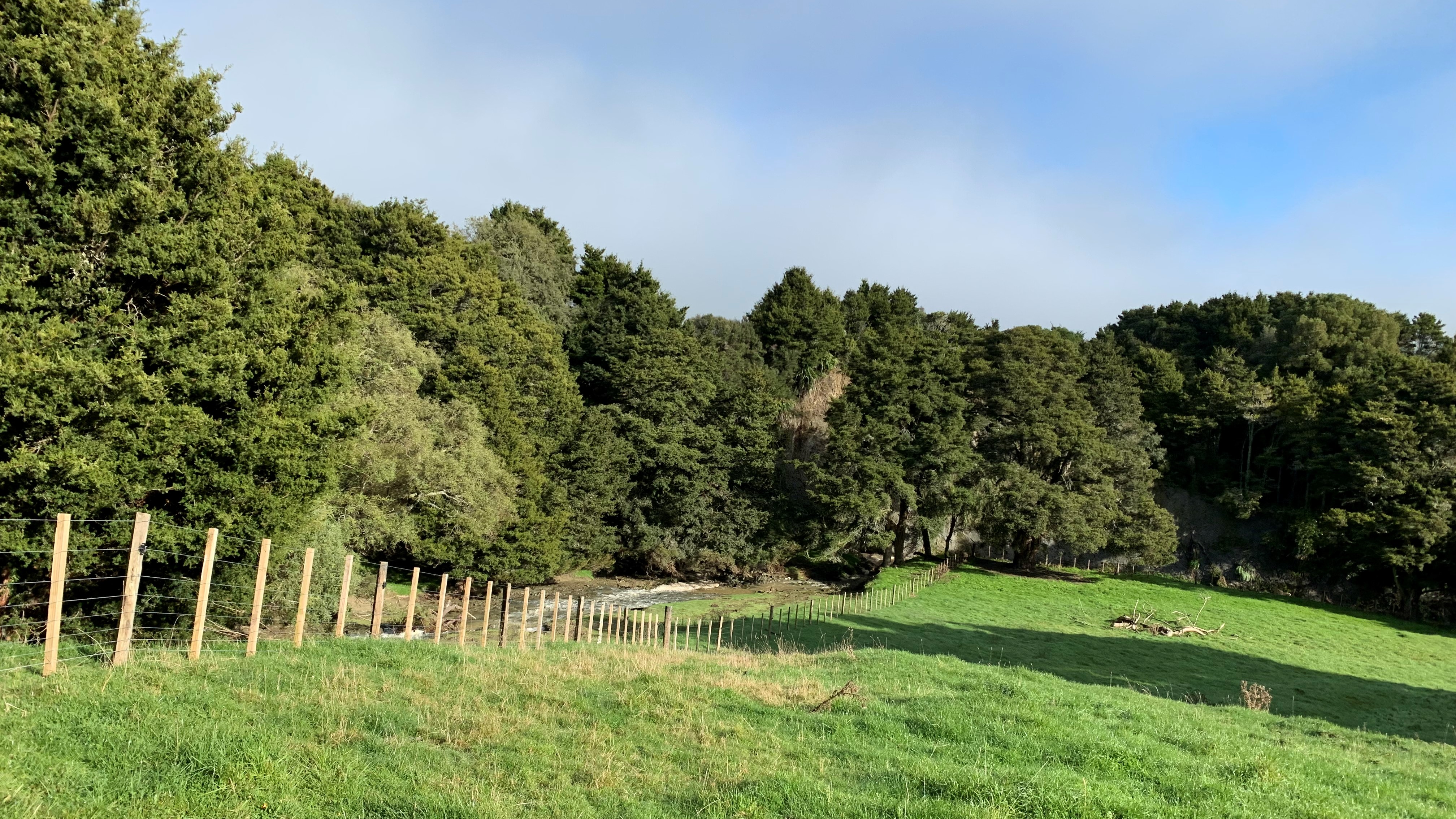 Woodville Nursery - Vero 3 month growth