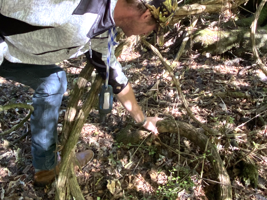 Man holding a vine from a pest plant