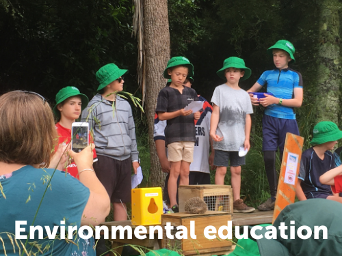 Environmental education tile
