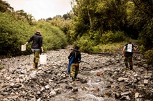 Report on state of regional environment released 