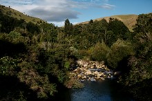 Memorial Bursary available for Environmental Studies students