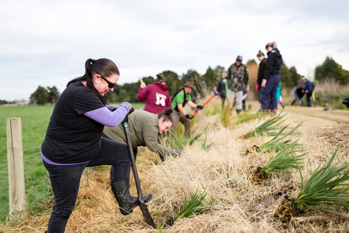 Manawatū River Accord community project applications open