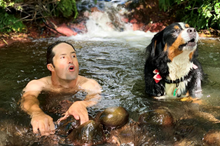 Summer swim spot competitions closed