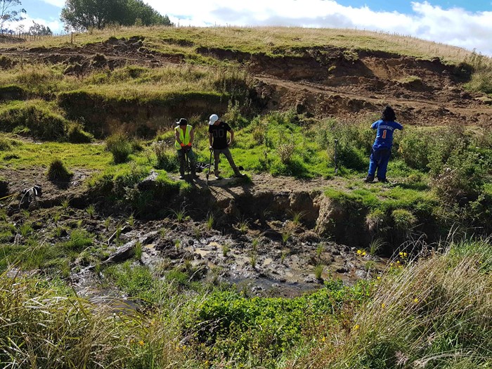 Whangaehu Catchment community project applications open