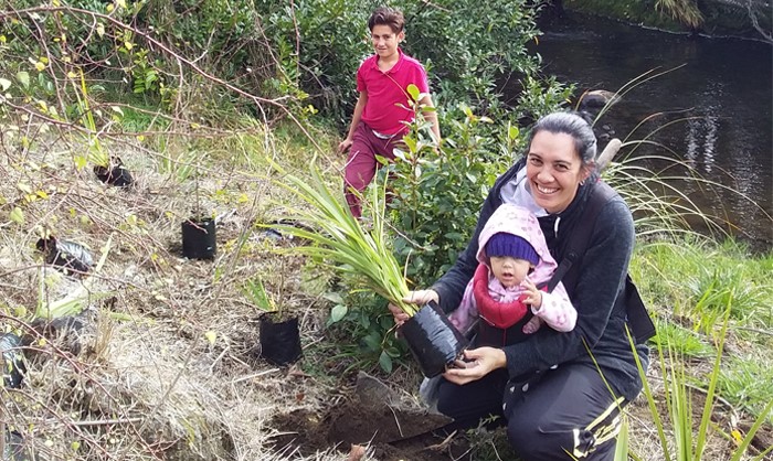 Whangaehu Catchment community project grant applications to open