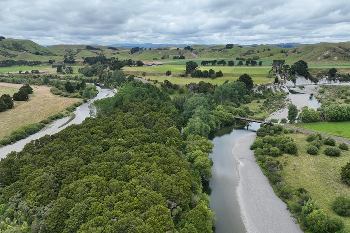 Horizons Regional Council awards memorial bursary to four environmental studies students