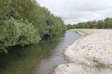 Public health warning - Makino Stream and Oroua River 