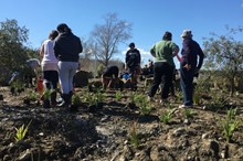 Grants available to support community initiatives 