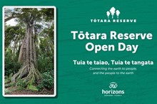 Free family-friendly fun at Tōtara Reserve Open Day