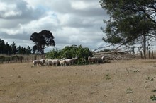 Support events for farmers ramp up
