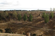 Alert for farmers - summers dry means making early decisions