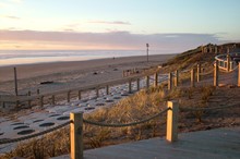 Foxton Beach clean-up celebrates national Seaweek  
