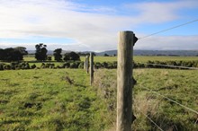 Horizons acknowledges freshwater farm plan rollout pause