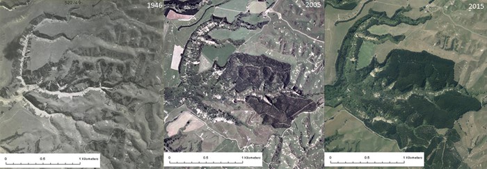 Farm forestry options to be presented at annual conference