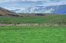 Horizons monitors work as part of wastewater upgrades