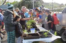 Horizons Regional Council community grants open soon