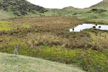 Horizons submits over $150 million of environmental enhancement shovel ready projects to central government