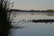 Restoration for Lake Horowhenua given green light