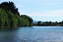 Swimmability targets proposed for Horizons Region