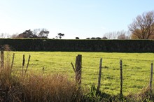 Keeping stock off stopbanks helps flood protection