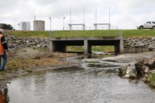 Makino keeps Horizons busy overnight