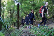 Te Āpiti - Manawatū Gorge popularity soars