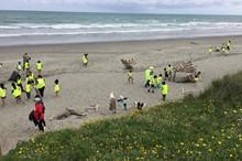 Seaweek celebrated with beach clean and selfie competition
