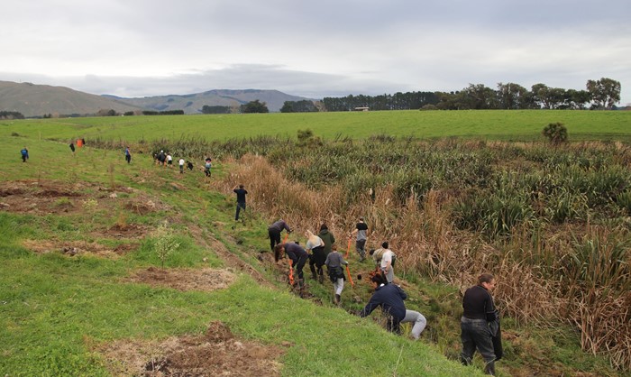 Planting helps support wetland area and water quality