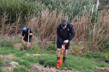 Keep Manawatū green planting day for water quality