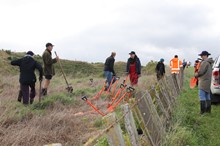 Planting at Ototoka Beach to improve stream health
