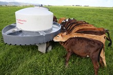 Horizons' One Plan implementation review process