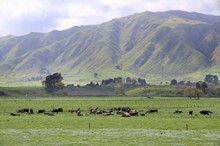 Dairy Industry Awards now open