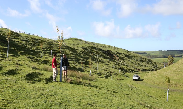 Horizons broadens funding criteria for SLUI