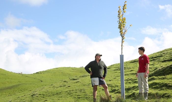 Best practice farm plans hit milestone 