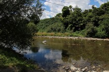 Staying safe at your swim spot