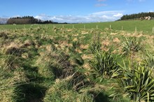 River Accord community project applications open