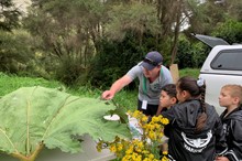 Horizons to hold pest plant hui for Ohakune school students