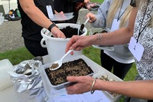 Opportunity for teachers to take action on sustainability