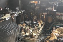 Horizons depot cleared of all hazardous substances