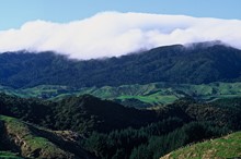 Council adopts Annual Plan