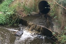 Horizons prosecutes environmental polluters