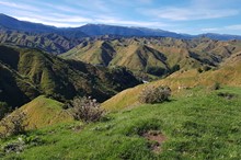 Horizons welcomes funding announcement