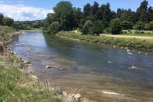 River protection maintenance works at Manunui