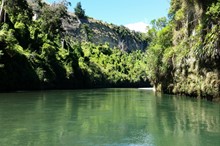 World first biological control granted to Horizons Region