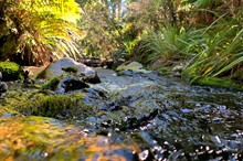 Have your say on freshwater targets for the Horizons Region