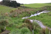 River Accord community grant funding awarded