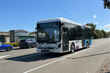 Palmy bus use grows 69% in two years