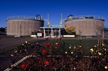 Horizons withdraws notice of review