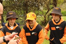 Swimming, skuttling, swooping - exploring our forgotten fauna